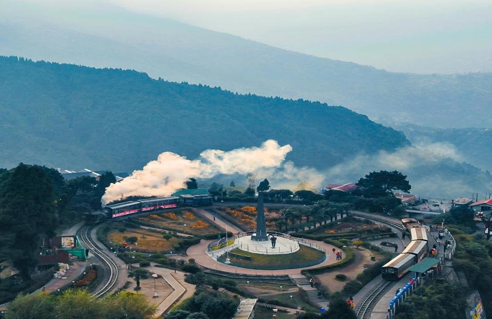 Darjeeling tea plantations